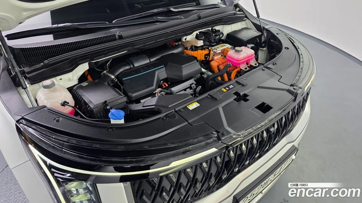 Kia Carnival — фото 10
