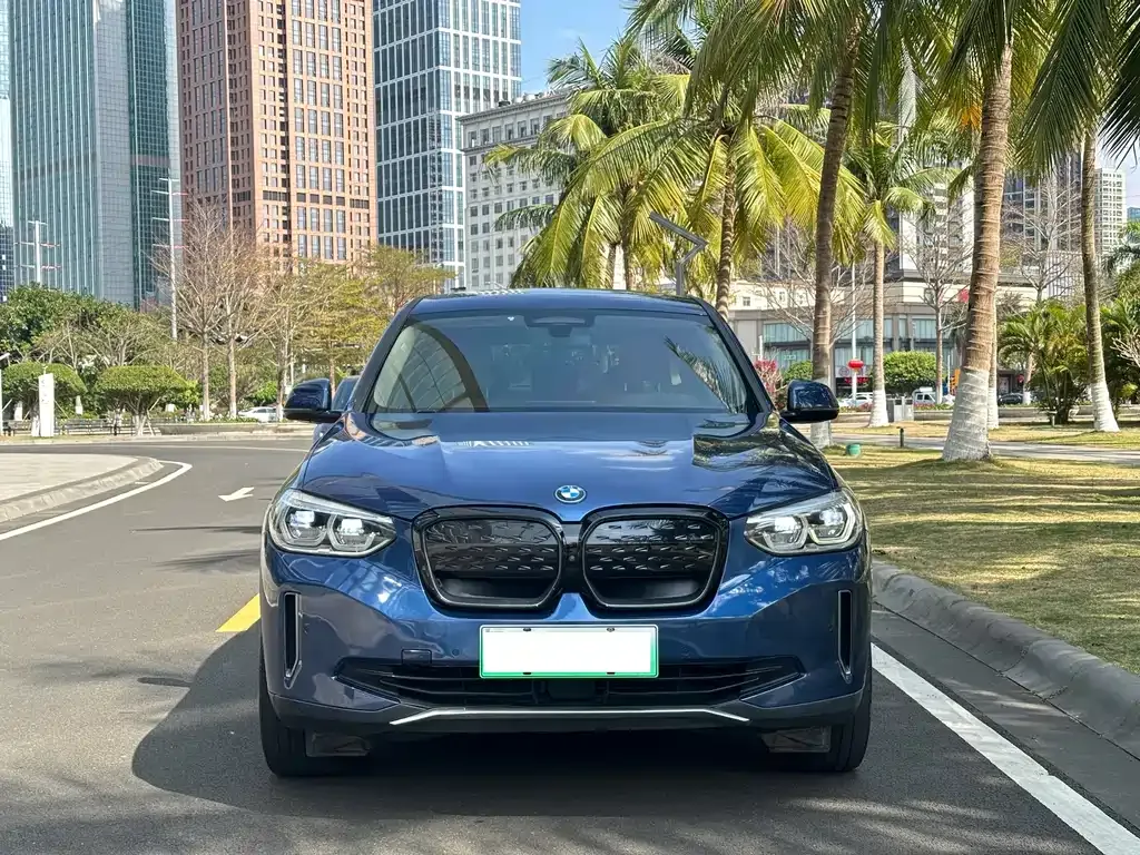 BMW iX3 2021 из CN, фото 4