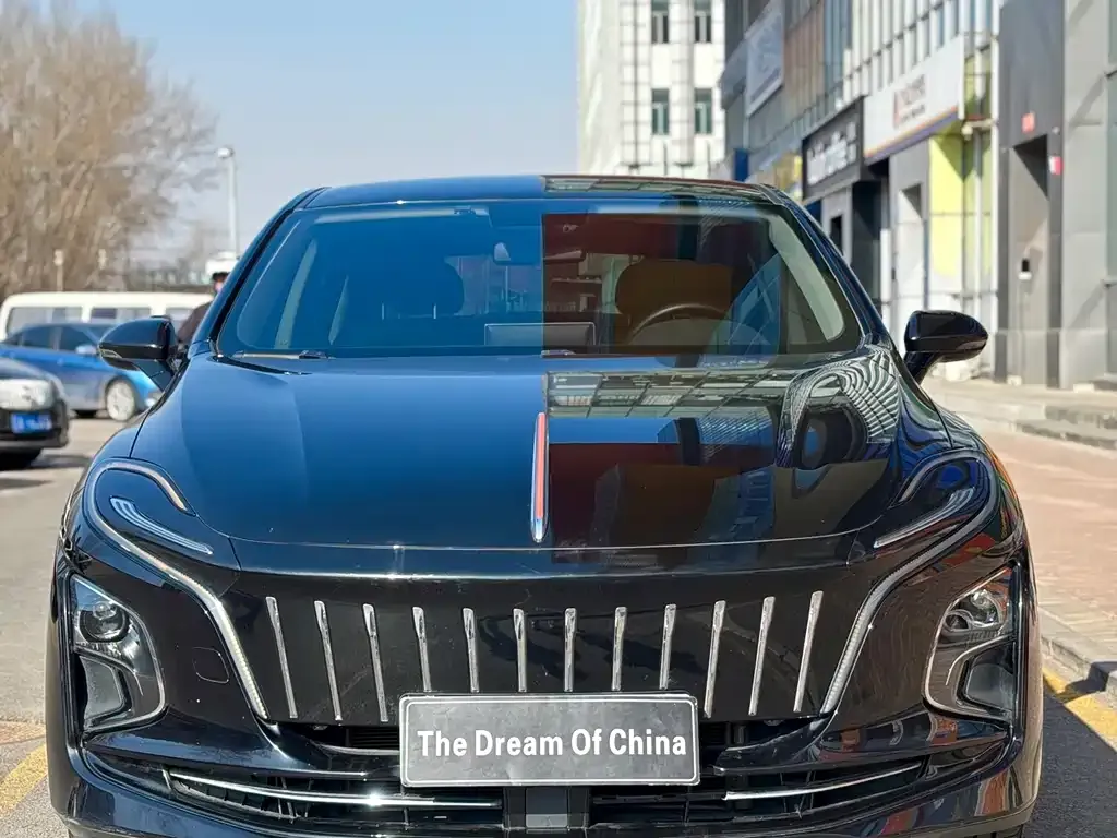 Hongqi E-QM5 — фото 4