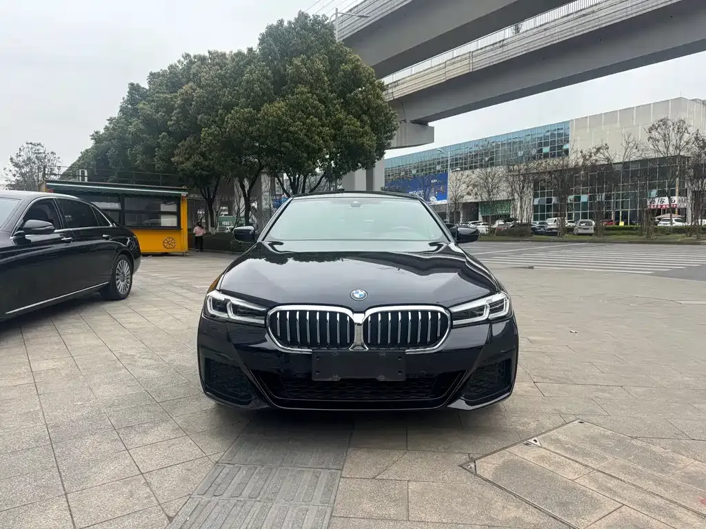 BMW 5 Series 2022 из CN, фото 3