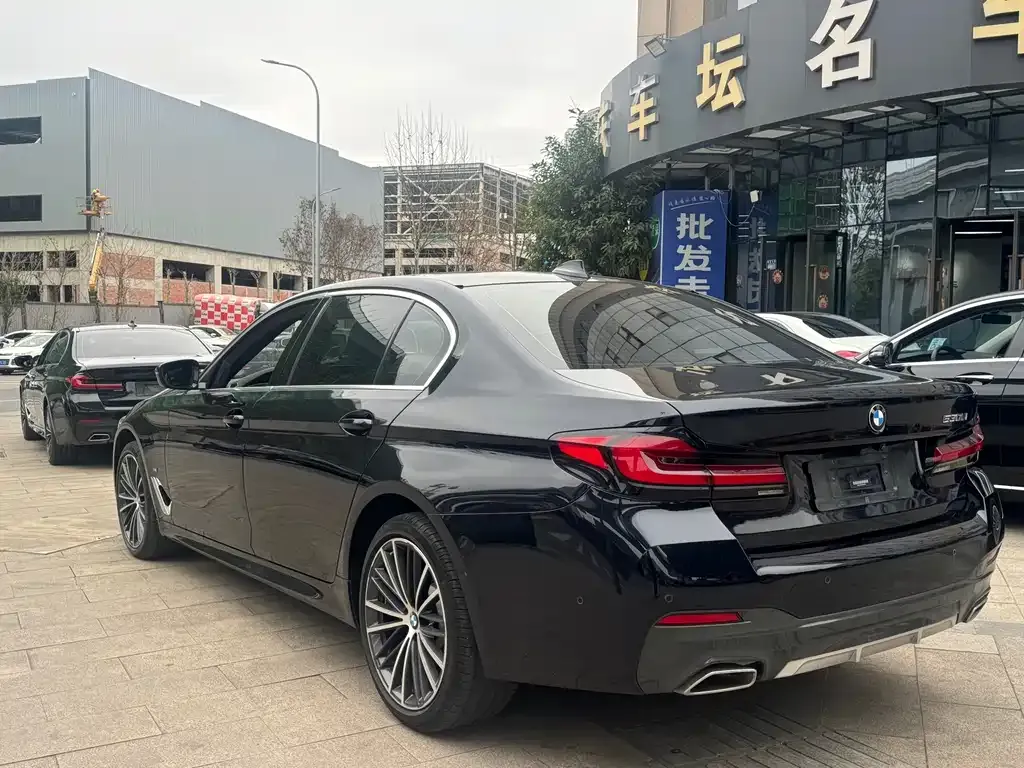 BMW 5 Series 2022 из CN, фото 9