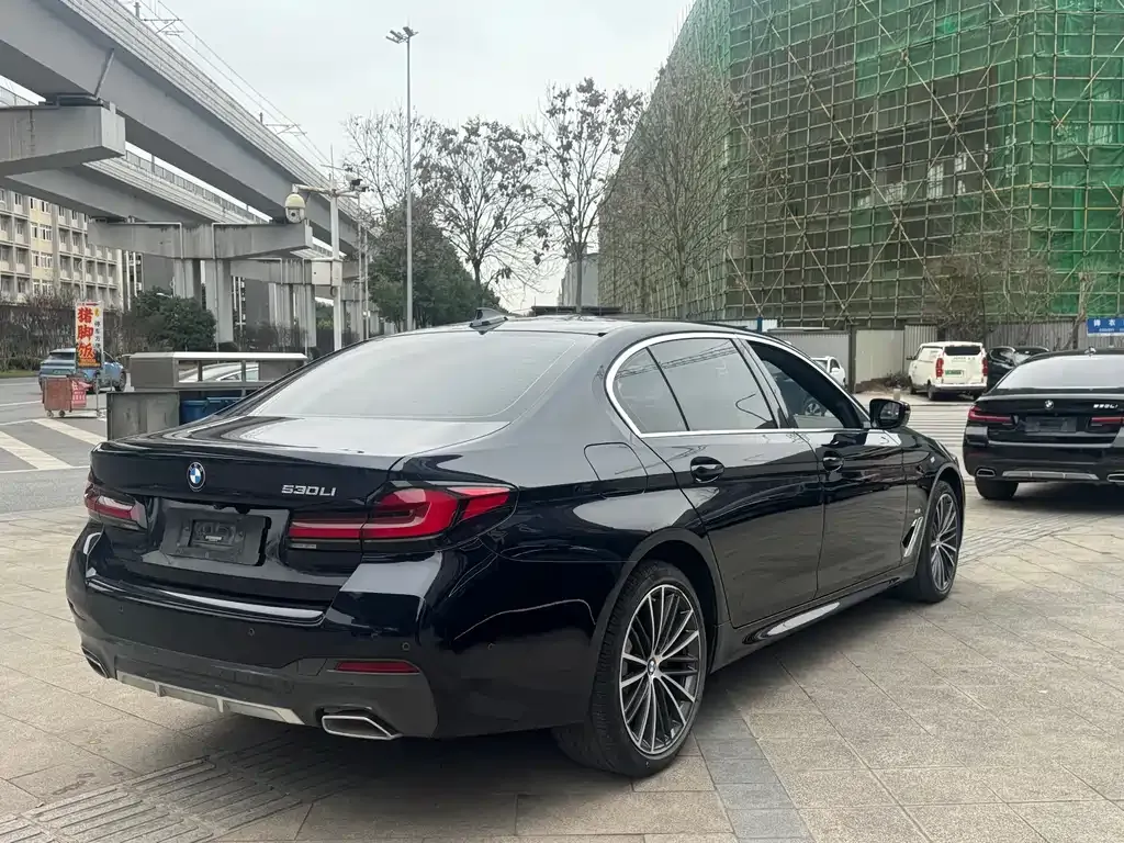 BMW 5 Series 2022 из CN, фото 6