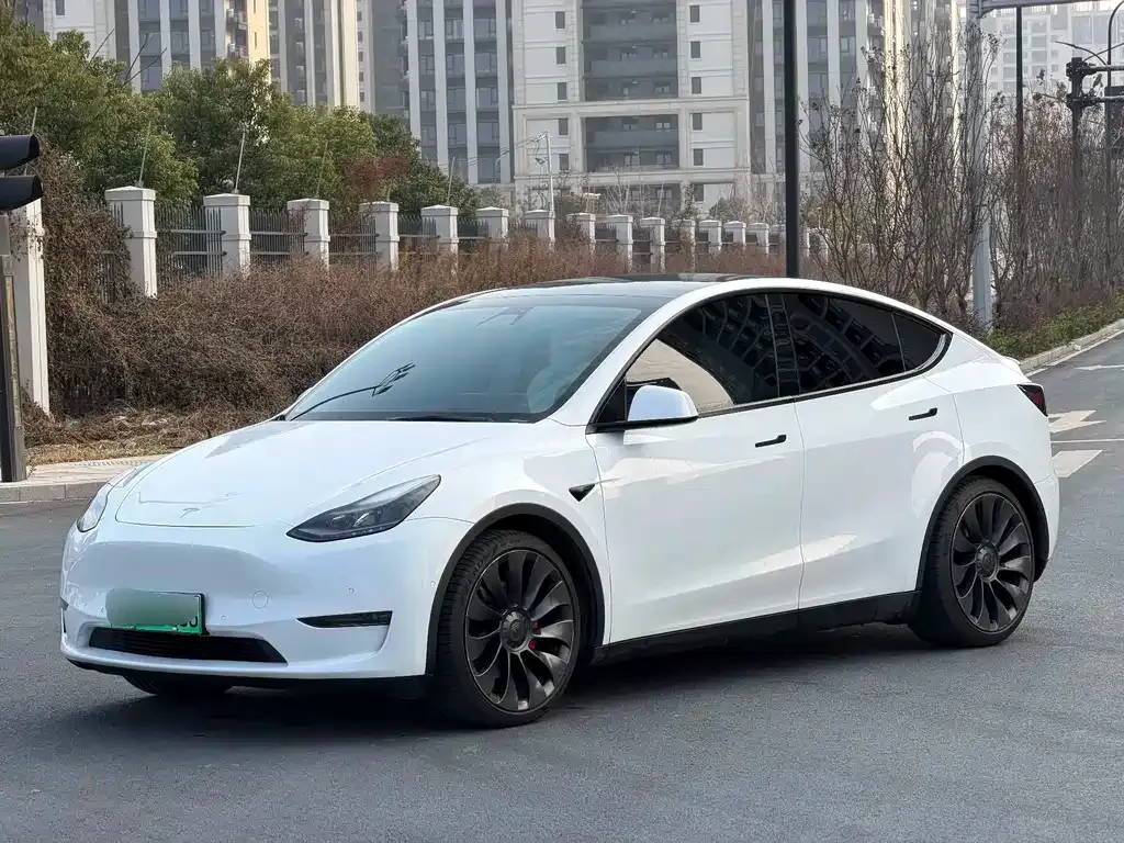 Tesla Model Y — фото 1