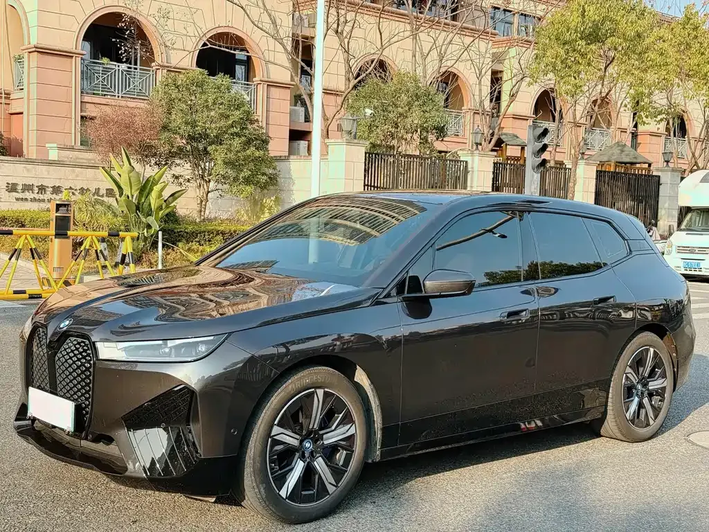 BMW iX — фото 10