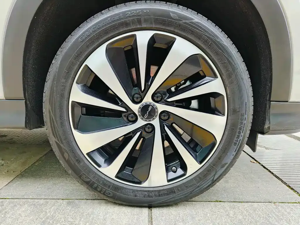 BYD PLUS New Energy — фото 10