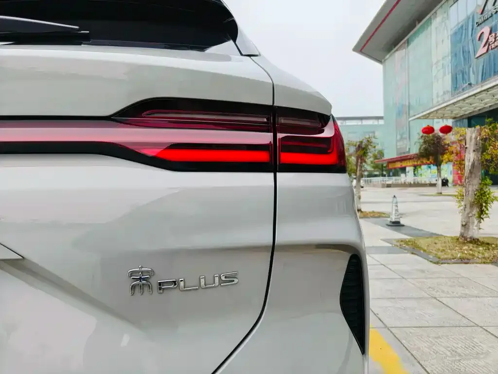 BYD PLUS New Energy — фото 2