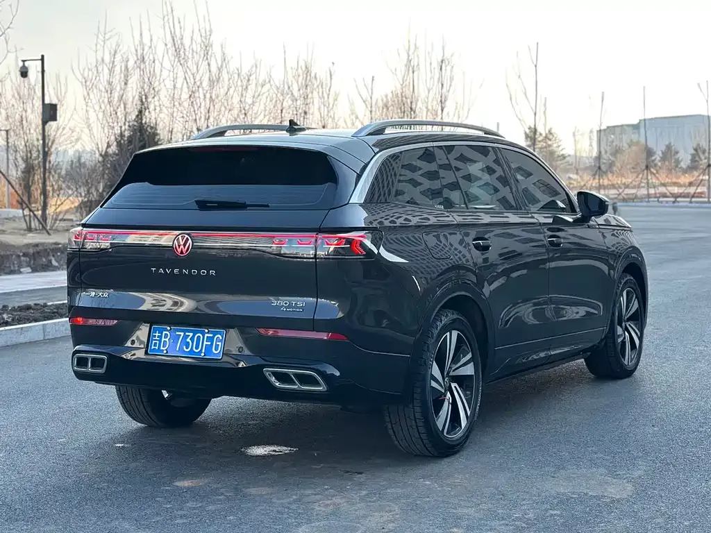 Volkswagen Tavendor 2023 из CN, фото 9