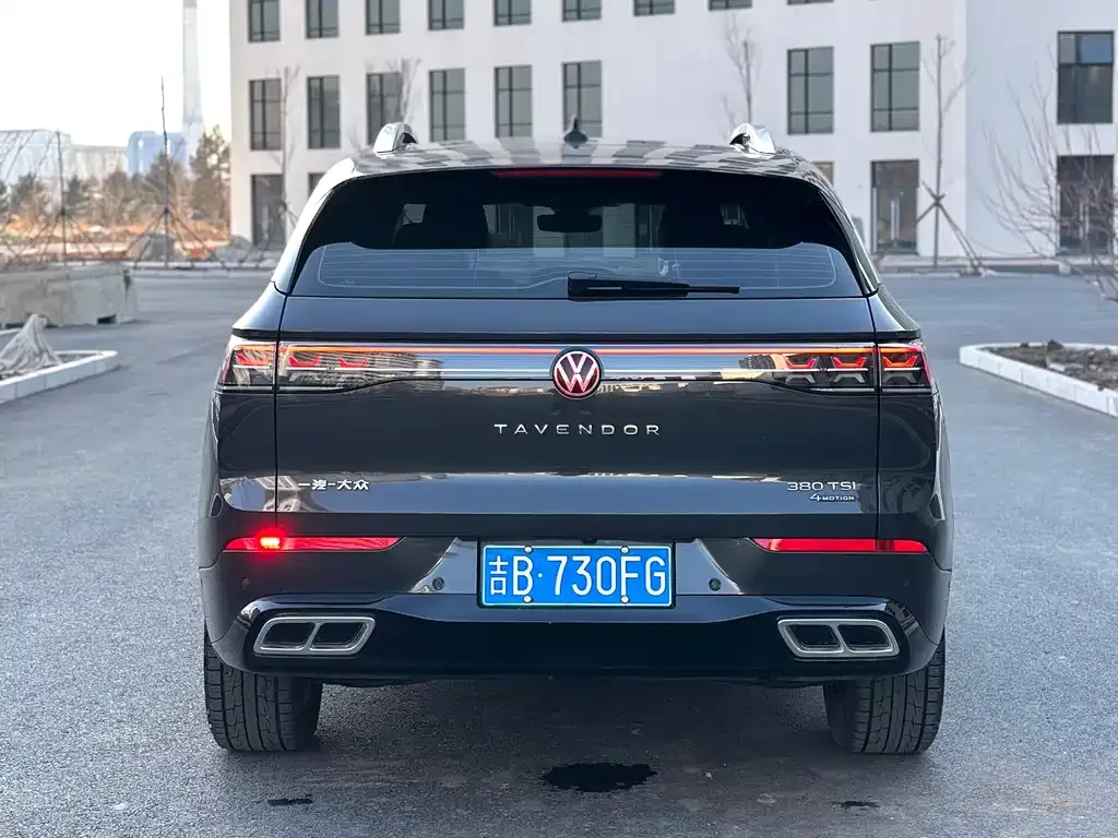 Volkswagen Tavendor 2023 из CN, фото 6