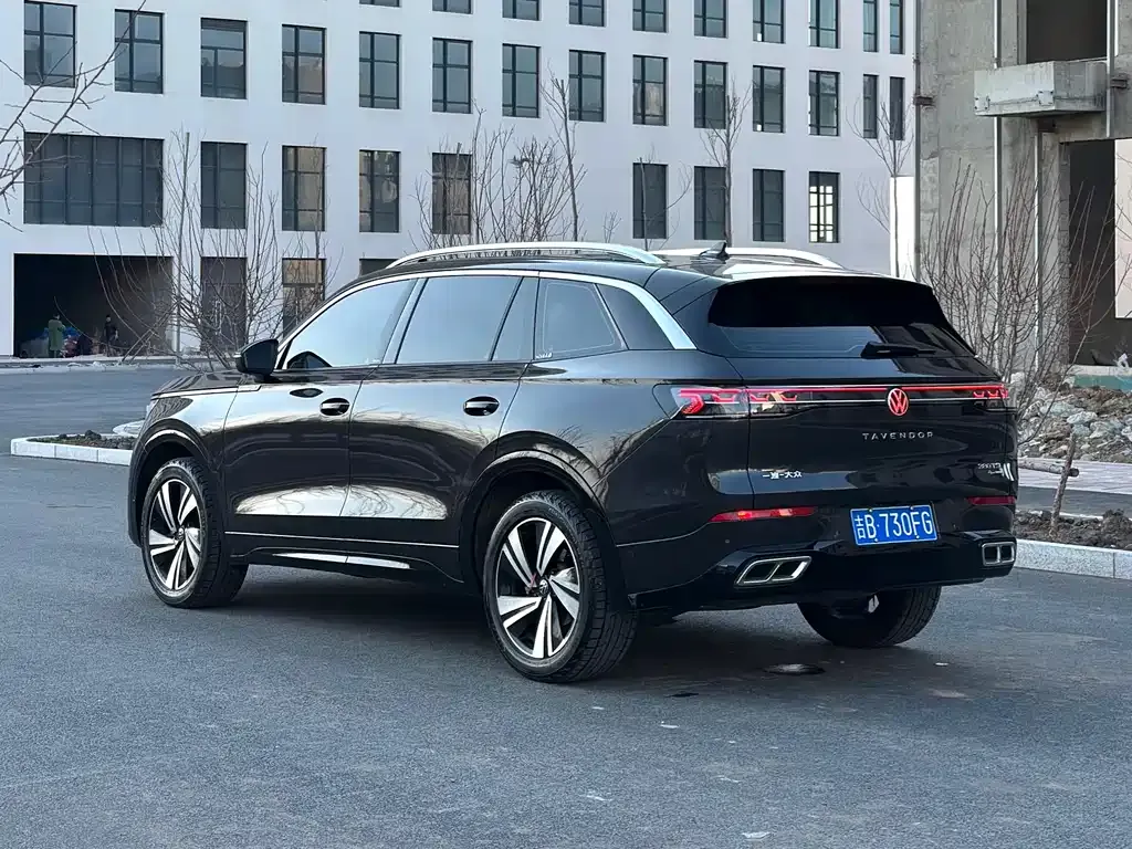 Volkswagen Tavendor 2023 из CN, фото 7