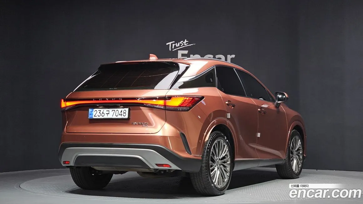 Lexus RX 2024 из KR, фото 5