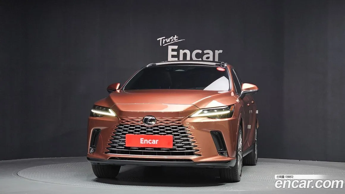 Lexus RX 2024 из KR, фото 6