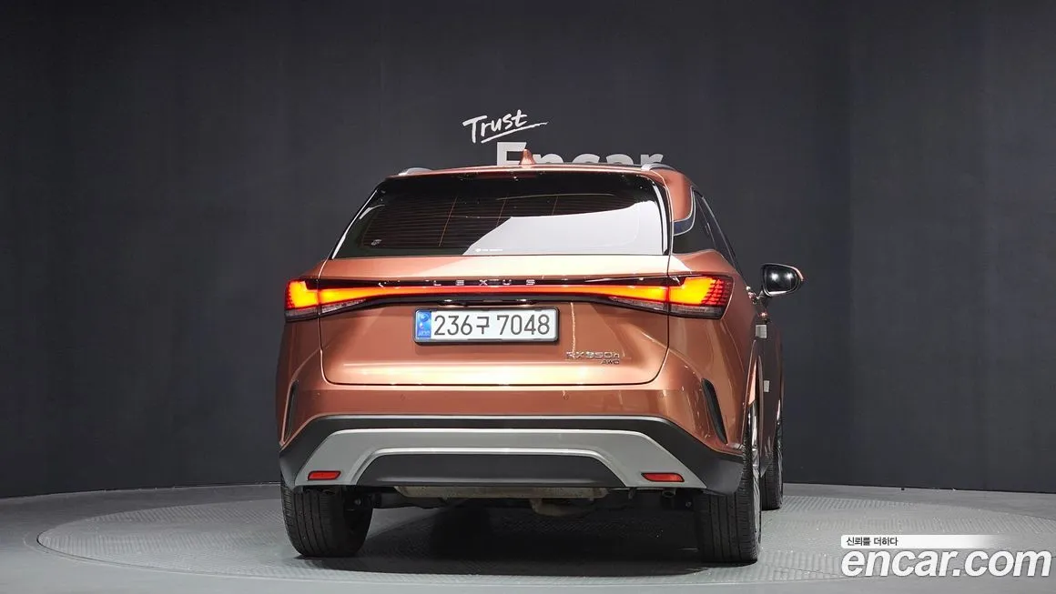Lexus RX 2024 из KR, фото 10