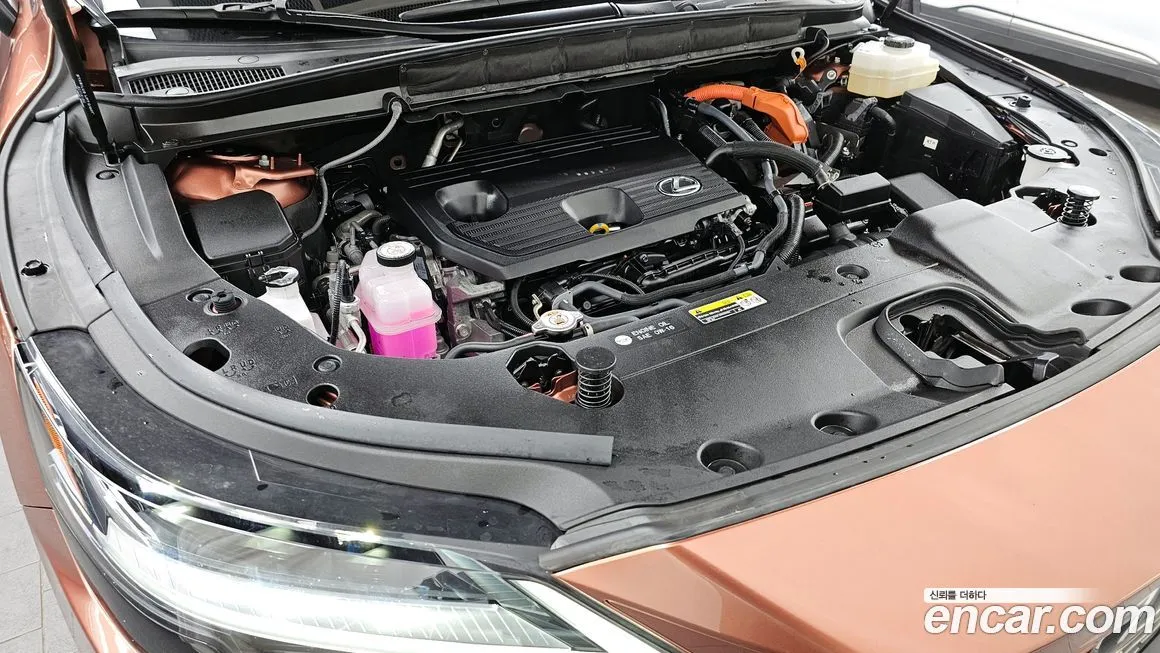 Lexus RX 2024 из KR, фото 8