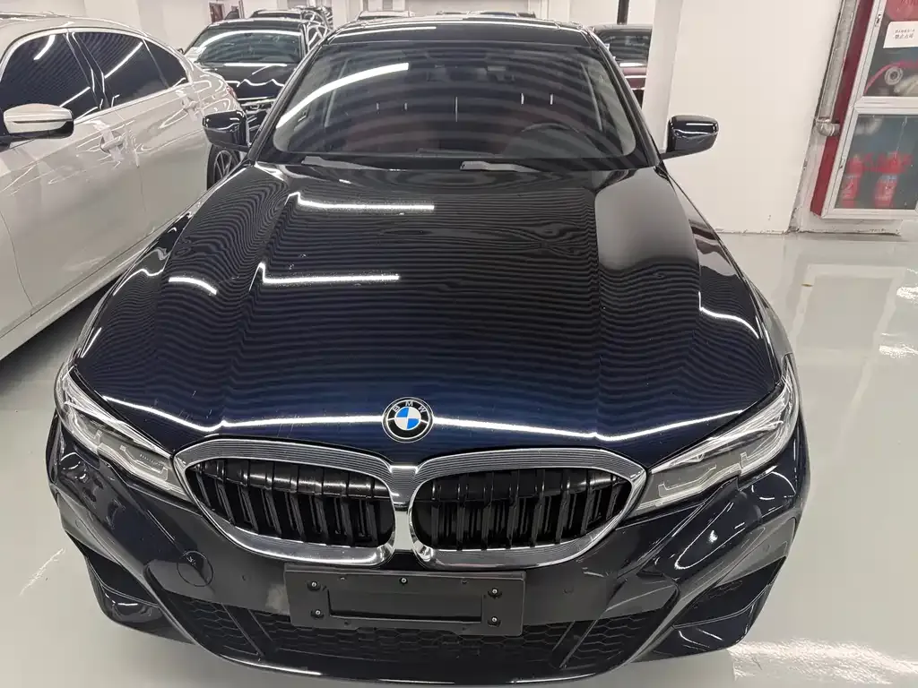 BMW 3 Series 2021 из CN, фото 6