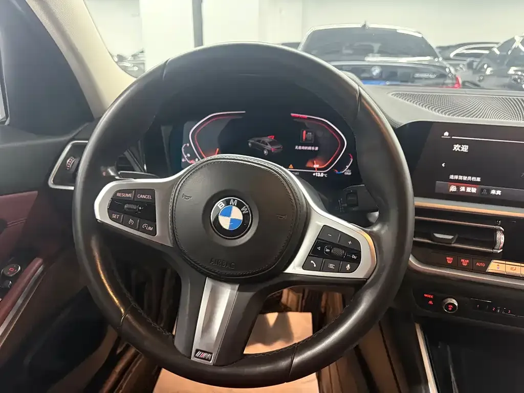 BMW 3 Series 2021 из CN, фото 4