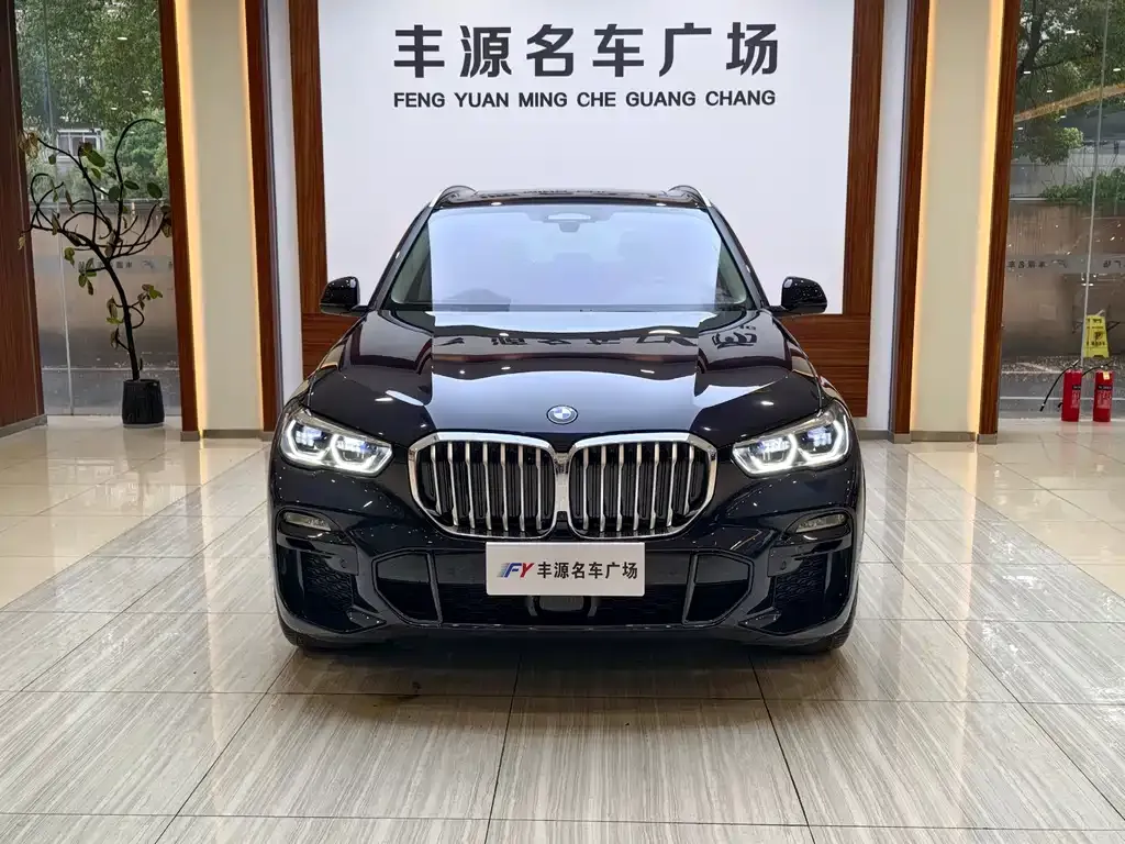 BMW X5 (Import) — фото 6