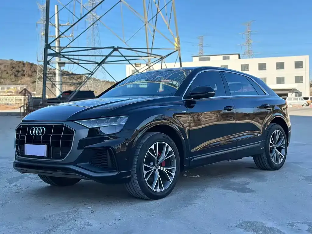 Audi Q8 — фото 9
