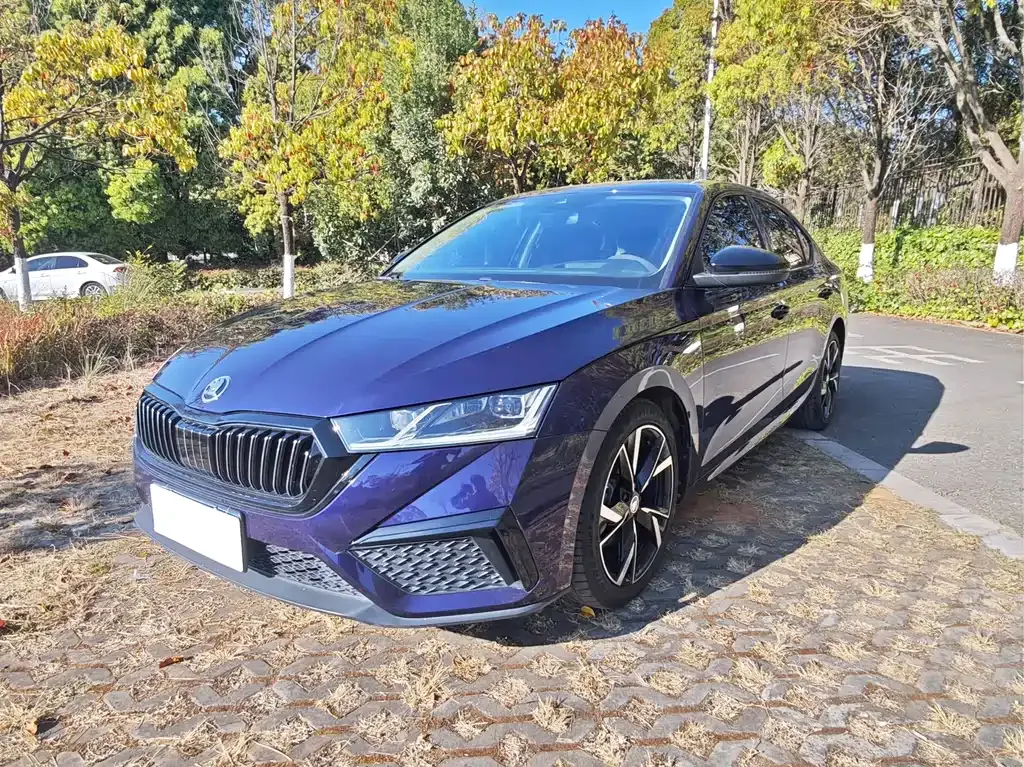 Skoda Octavia — фото 1