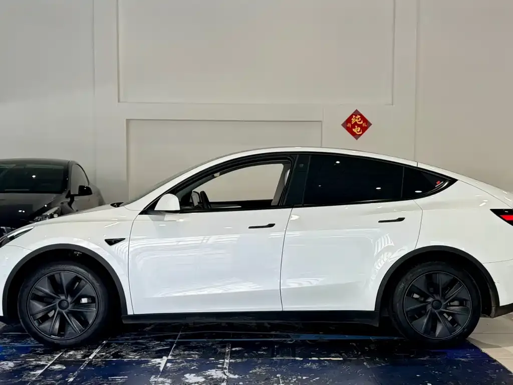 Tesla Model Y — фото 10