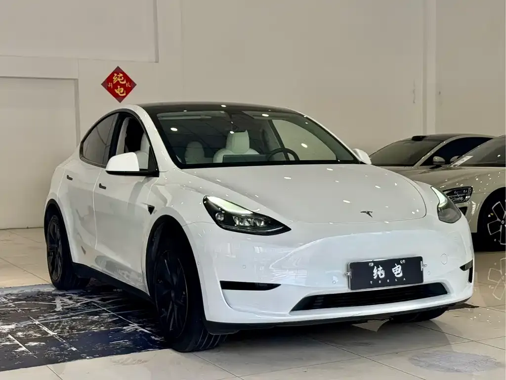 Tesla Model Y — фото 9