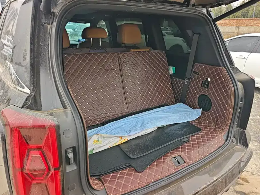 GAC Motor Trumpchi ES9 2023 из CN, фото 4