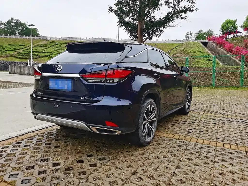 Lexus RX — фото 9