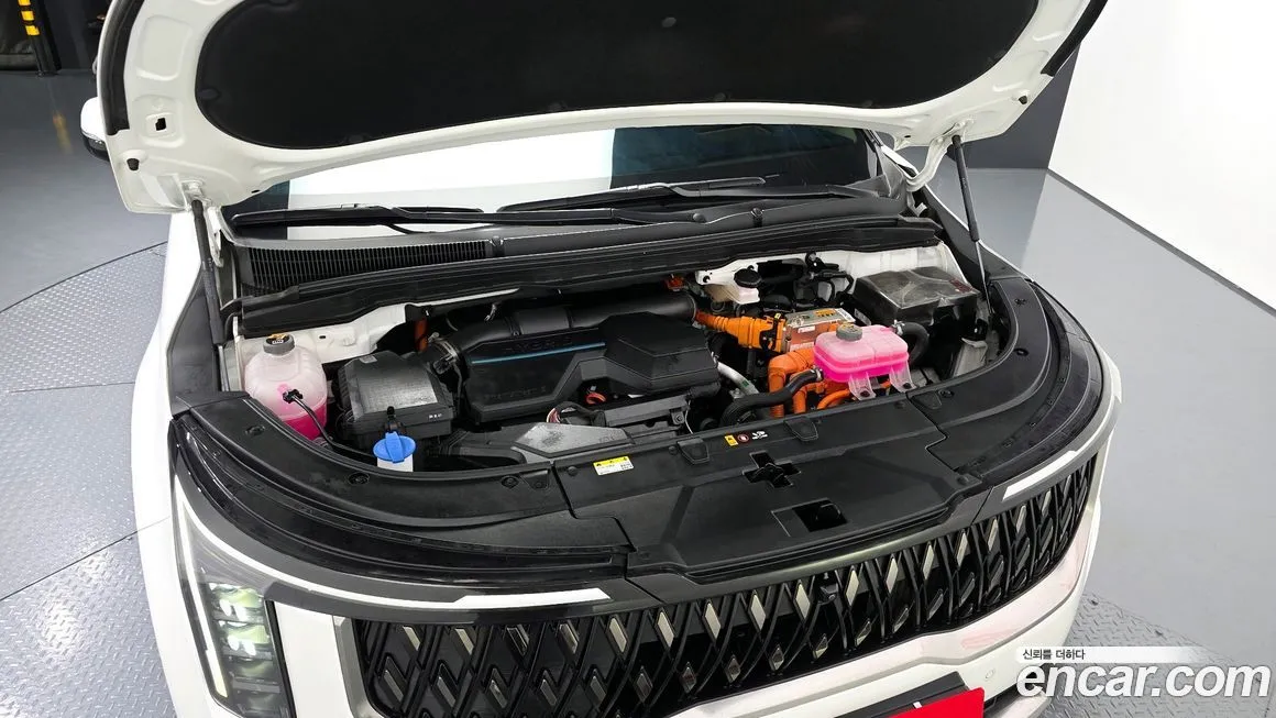 Kia Carnival — фото 10