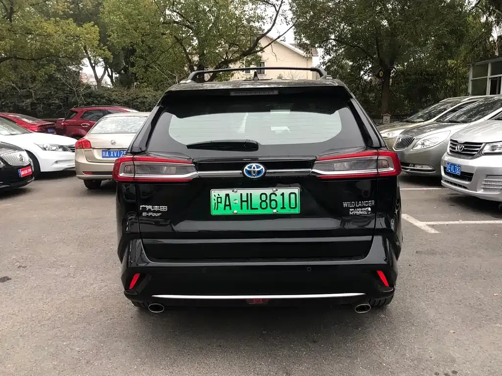 Toyota Wildlander New Energy 2024 из CN, фото 7