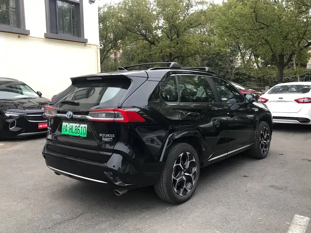 Toyota Wildlander New Energy 2024 из CN, фото 8