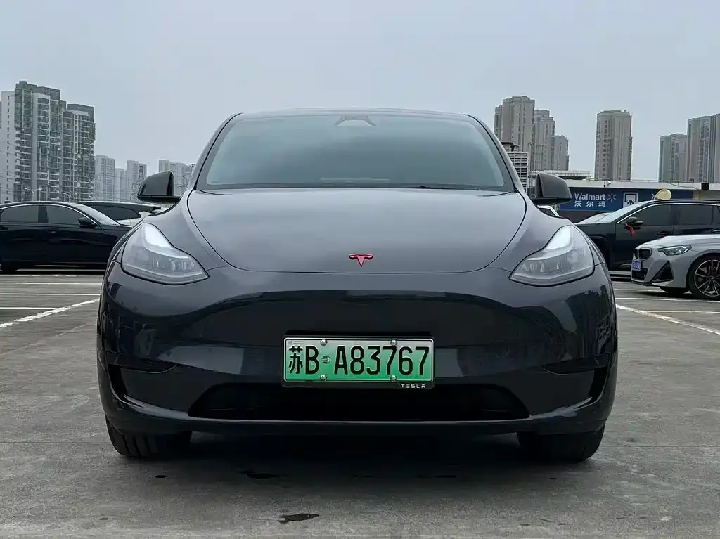 Tesla Model Y — фото 1