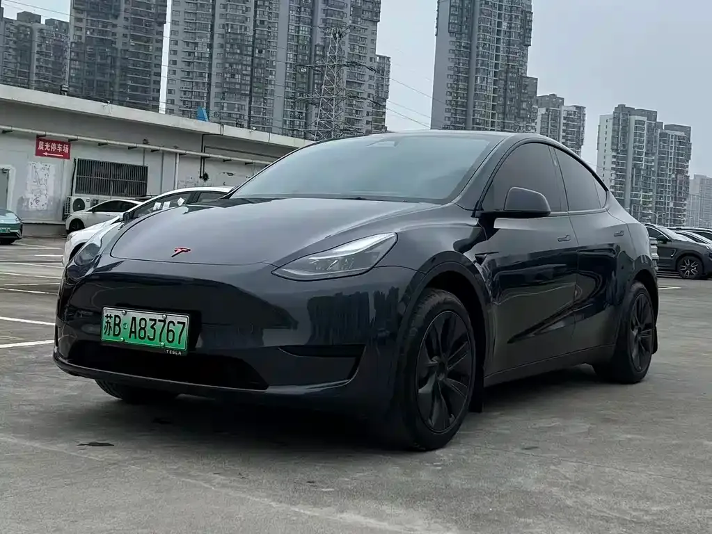 Tesla Model Y — фото 7