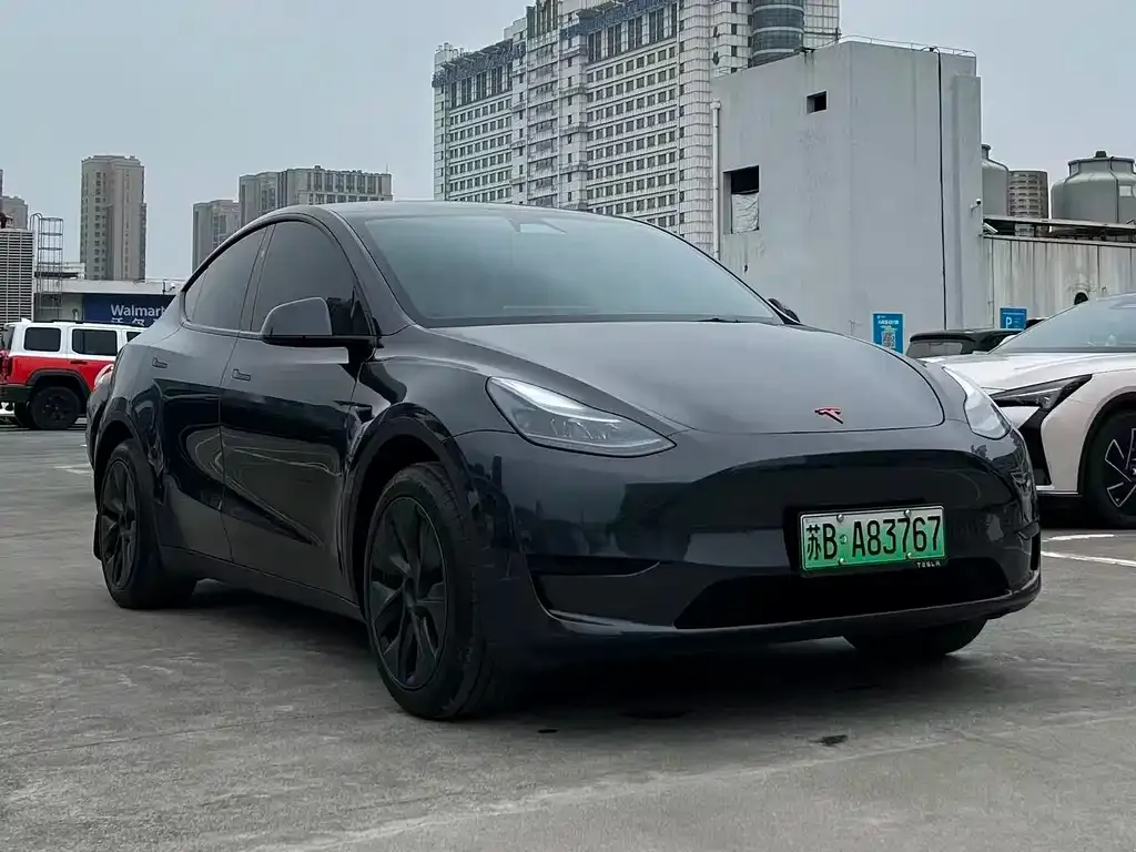 Tesla Model Y — фото 9
