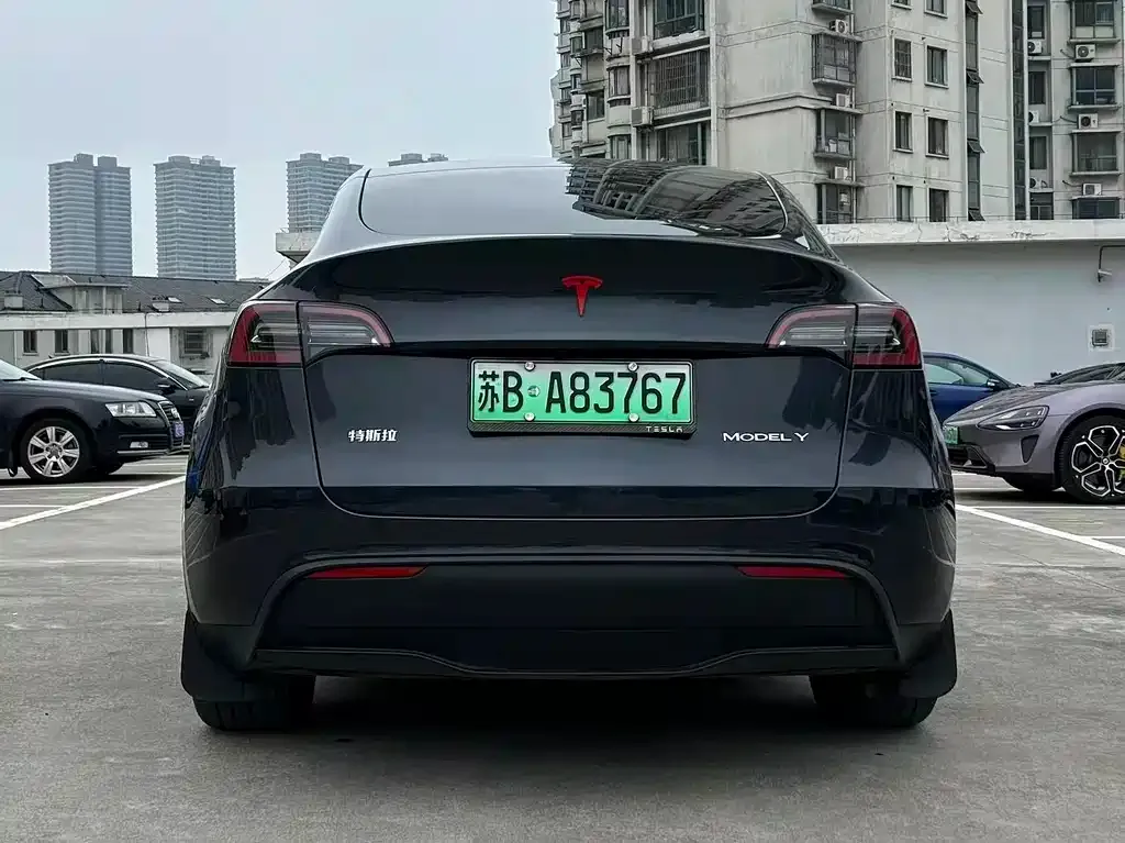 Tesla Model Y — фото 10