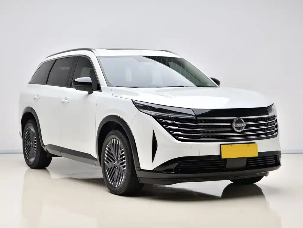 Nissan Teramont 2024 из CN, фото 3