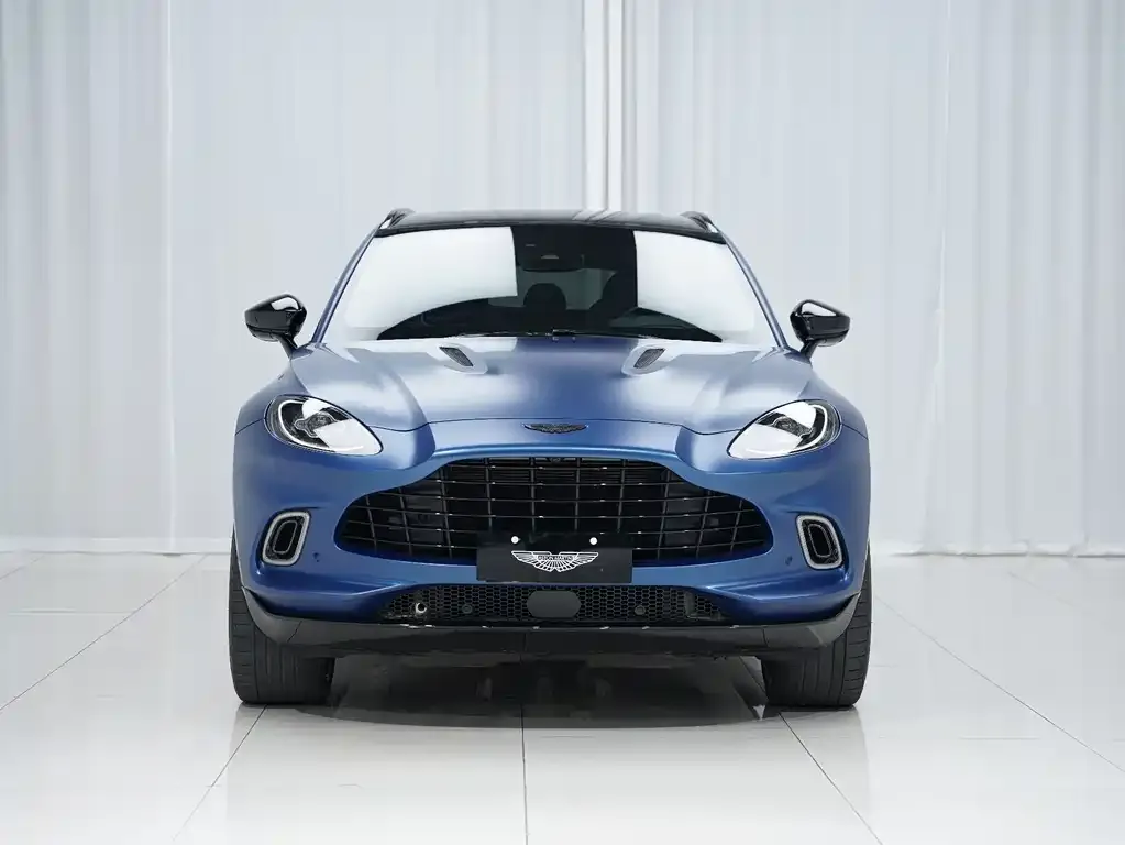Aston Martin DBX 2022 из CN, фото 4