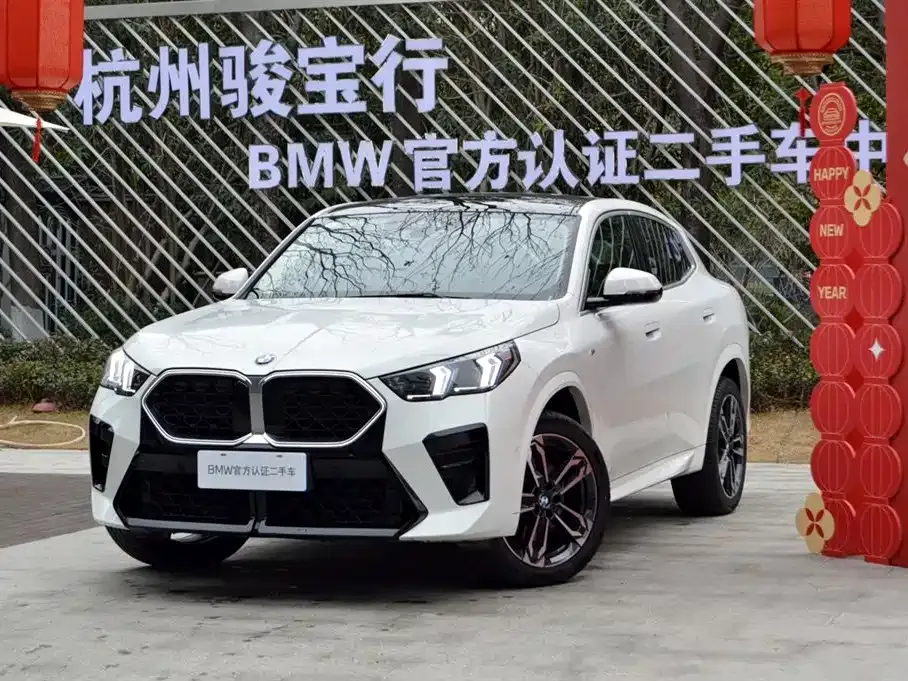 BMW X2 (Import) — фото 1
