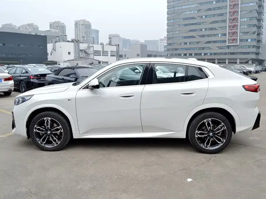 BMW X2 (Import) — фото 4