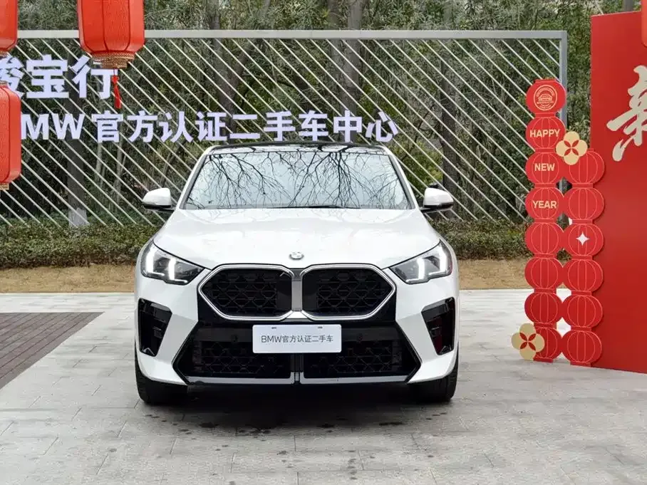 BMW X2 (Import) — фото 8