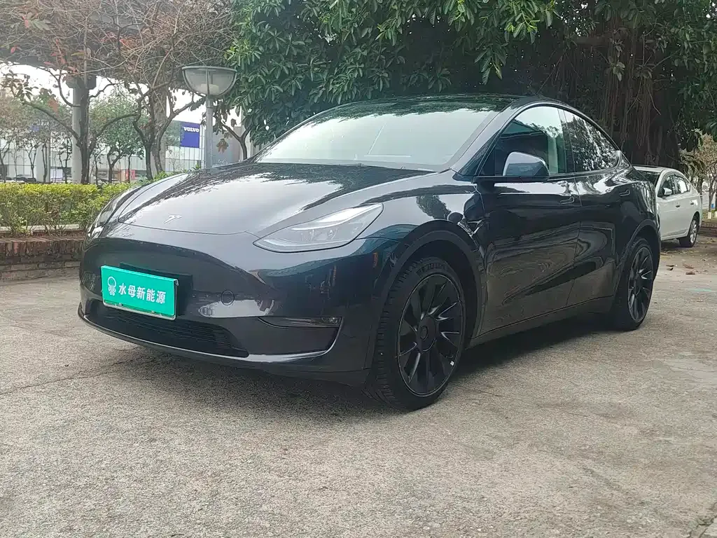 Tesla Model Y — фото 1