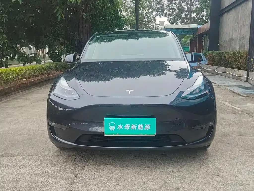 Tesla Model Y — фото 6