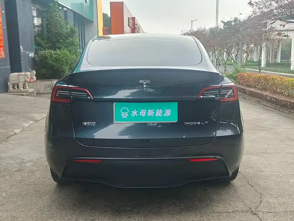 Tesla Model Y — фото 5