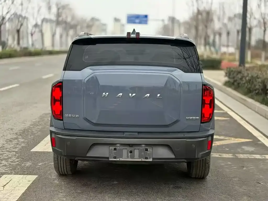 Haval Cool Dog 2023 из CN, фото 6