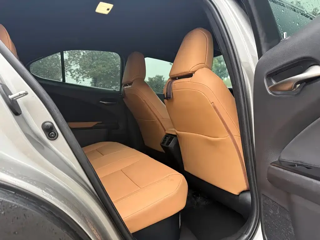 Lexus UX 2023 из CN, фото 2