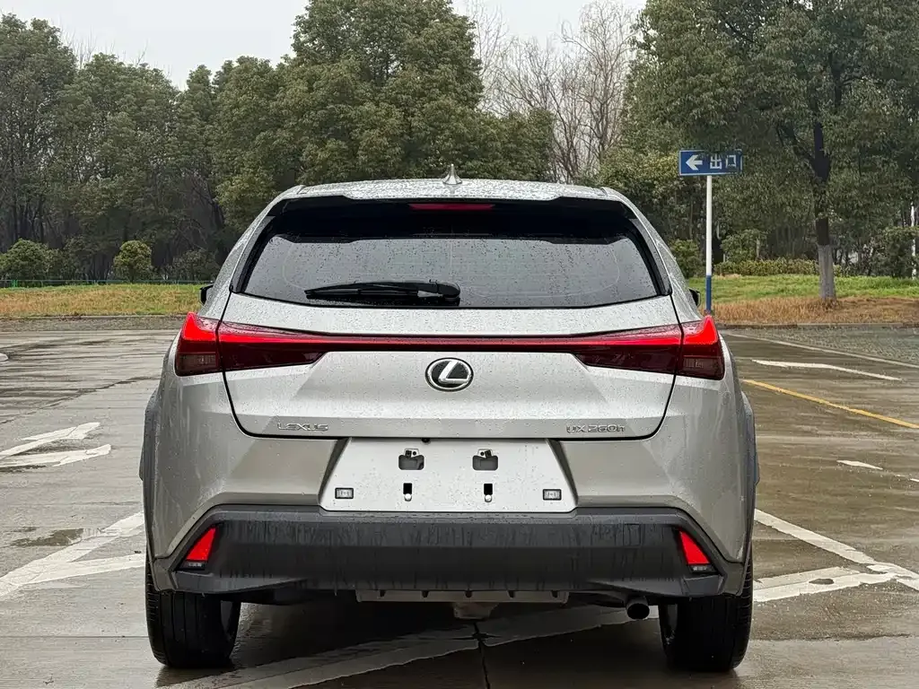 Lexus UX 2023 из CN, фото 8