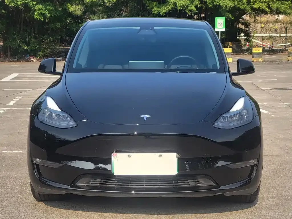 Tesla Model Y — фото 2
