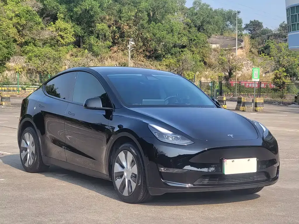 Tesla Model Y — фото 9