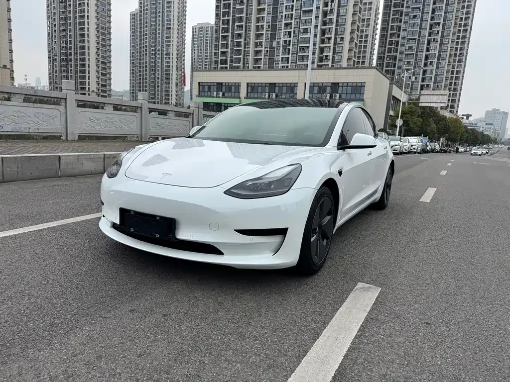 Tesla Model 3 2021 из CN, фото 1