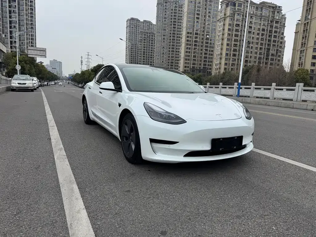 Tesla Model 3 2021 из CN, фото 10