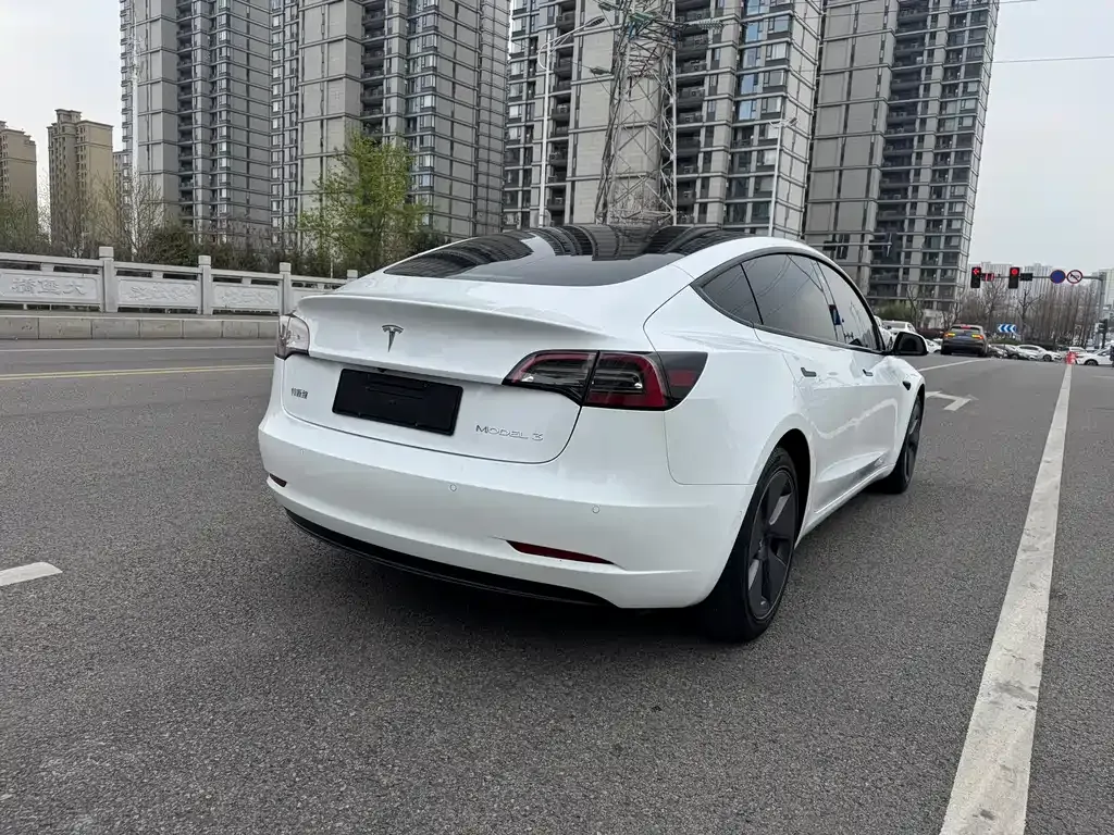 Tesla Model 3 2021 из CN, фото 6