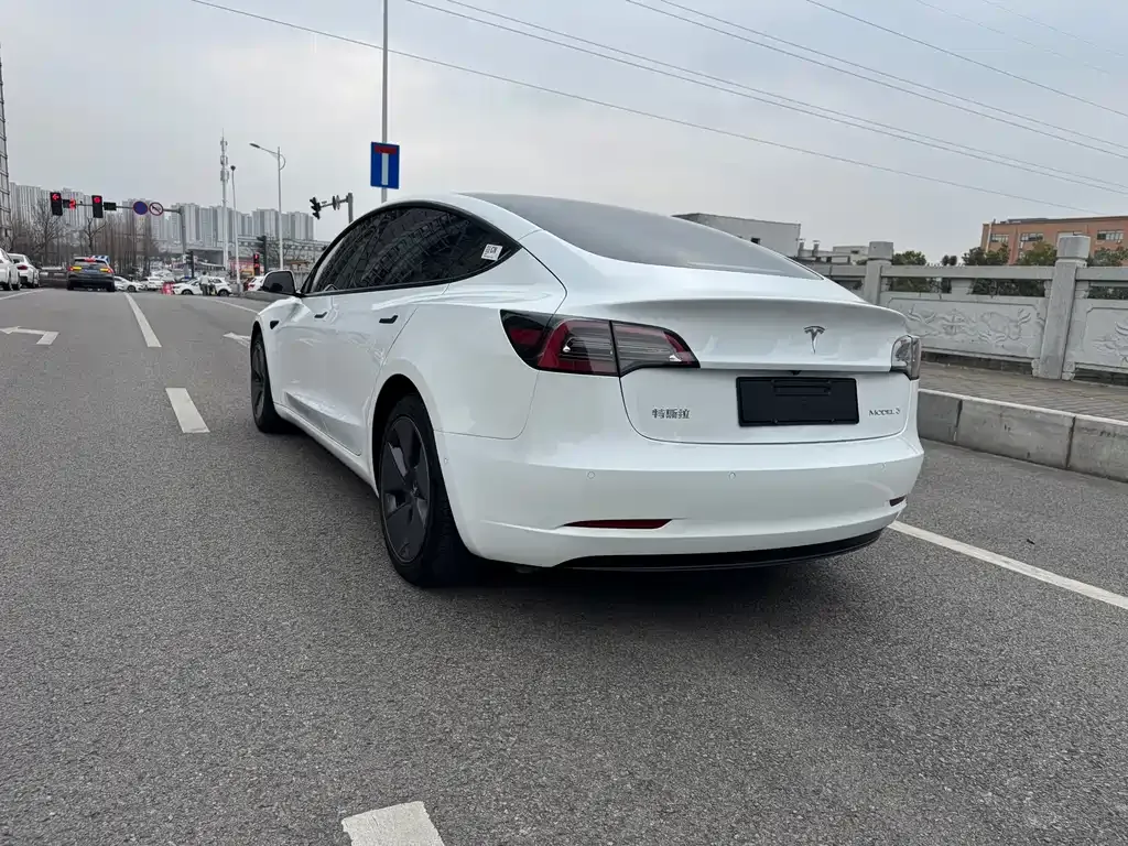 Tesla Model 3 2021 из CN, фото 9